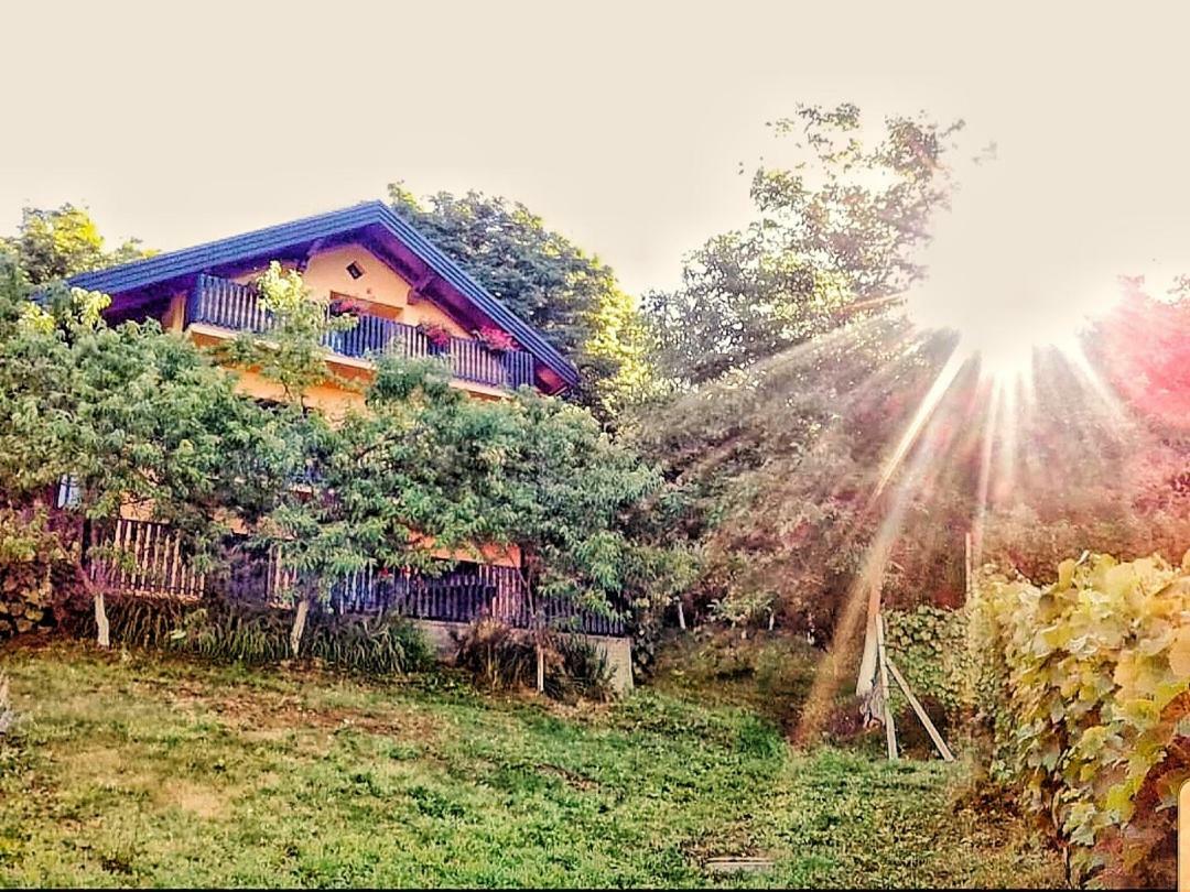Apartman Potocki 크라피나 외부 사진